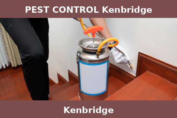 PEST CONTROL Kenbridge